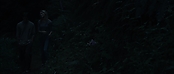 theriverwhy09249.jpg