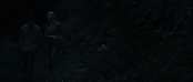 theriverwhy09256.jpg