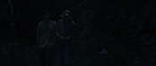 theriverwhy09351.jpg