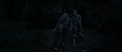 theriverwhy11601.jpg