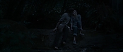 theriverwhy11612.jpg