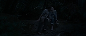 theriverwhy11613.jpg