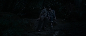 theriverwhy11654.jpg