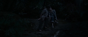 theriverwhy11669.jpg