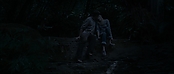 theriverwhy11671.jpg