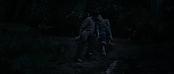 theriverwhy11675.jpg