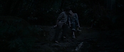 theriverwhy11682.jpg