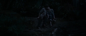 theriverwhy11699.jpg