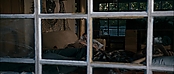 theriverwhy11813.jpg