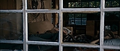 theriverwhy11814.jpg