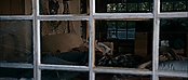 theriverwhy11816.jpg