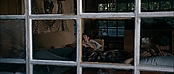 theriverwhy11820.jpg