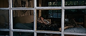 theriverwhy11826.jpg