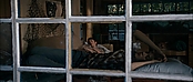 theriverwhy11833.jpg