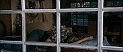 theriverwhy11867.jpg