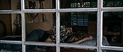 theriverwhy11868.jpg