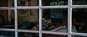 theriverwhy11870.jpg