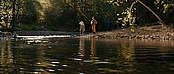 theriverwhy16193.jpg
