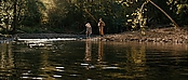 theriverwhy16194.jpg