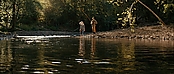 theriverwhy16195.jpg