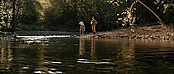 theriverwhy16196.jpg