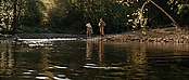 theriverwhy16197.jpg