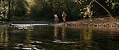 theriverwhy16198.jpg