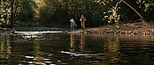 theriverwhy16201.jpg