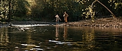 theriverwhy16202.jpg