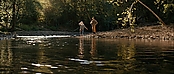 theriverwhy16203.jpg