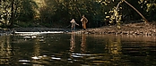 theriverwhy16206.jpg