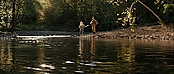 theriverwhy16217.jpg