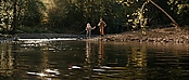theriverwhy16218.jpg