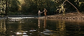 theriverwhy16221.jpg