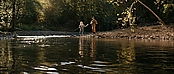 theriverwhy16222.jpg