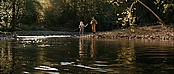 theriverwhy16223.jpg