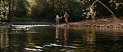 theriverwhy16230.jpg
