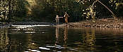 theriverwhy16240.jpg