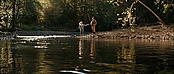 theriverwhy16263.jpg