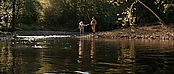 theriverwhy16266.jpg