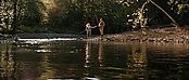 theriverwhy16267.jpg