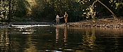 theriverwhy16274.jpg