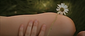 theriverwhy19080.jpg