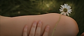 theriverwhy19082.jpg
