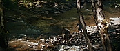 theriverwhy19244.jpg