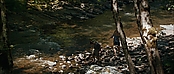 theriverwhy19250.jpg