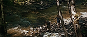 theriverwhy19254.jpg