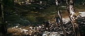 theriverwhy19257.jpg