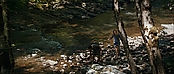 theriverwhy19258.jpg