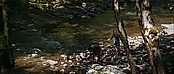 theriverwhy19259.jpg